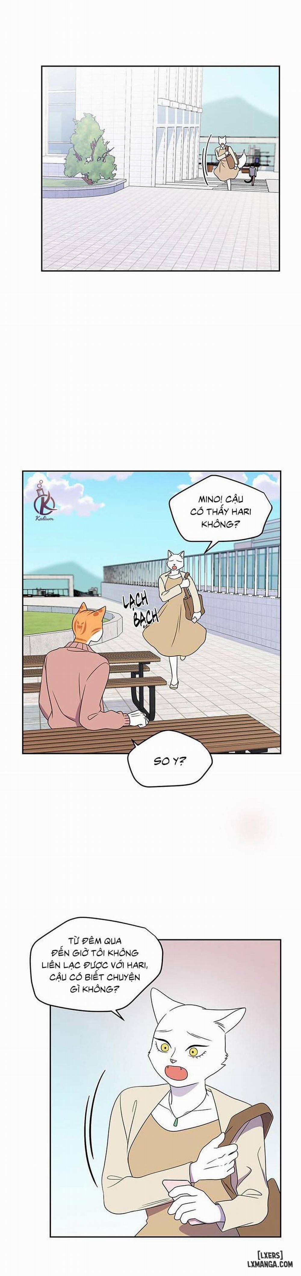 Dự án xanh 20 trang 14