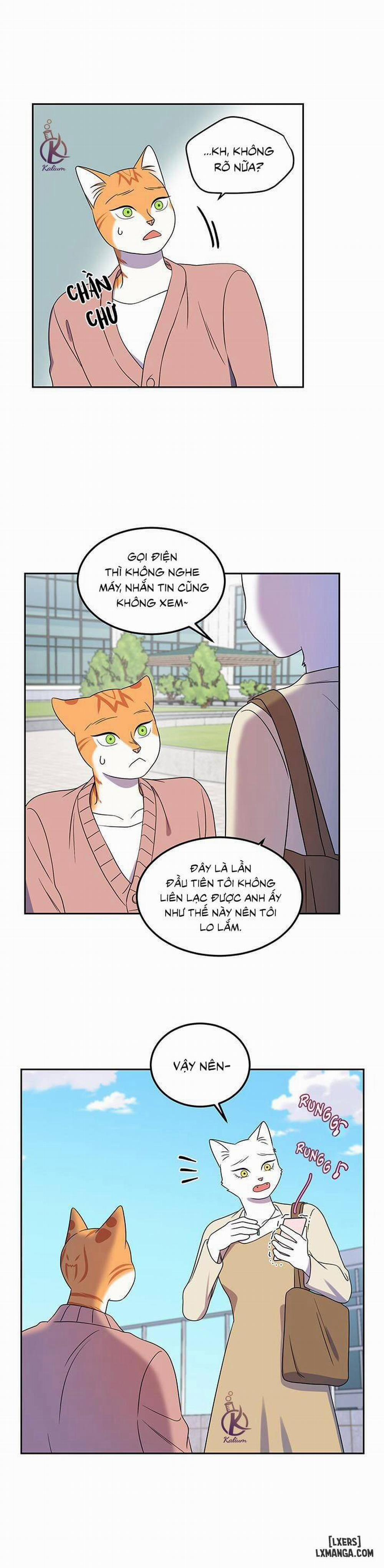 Dự án xanh 20 trang 15