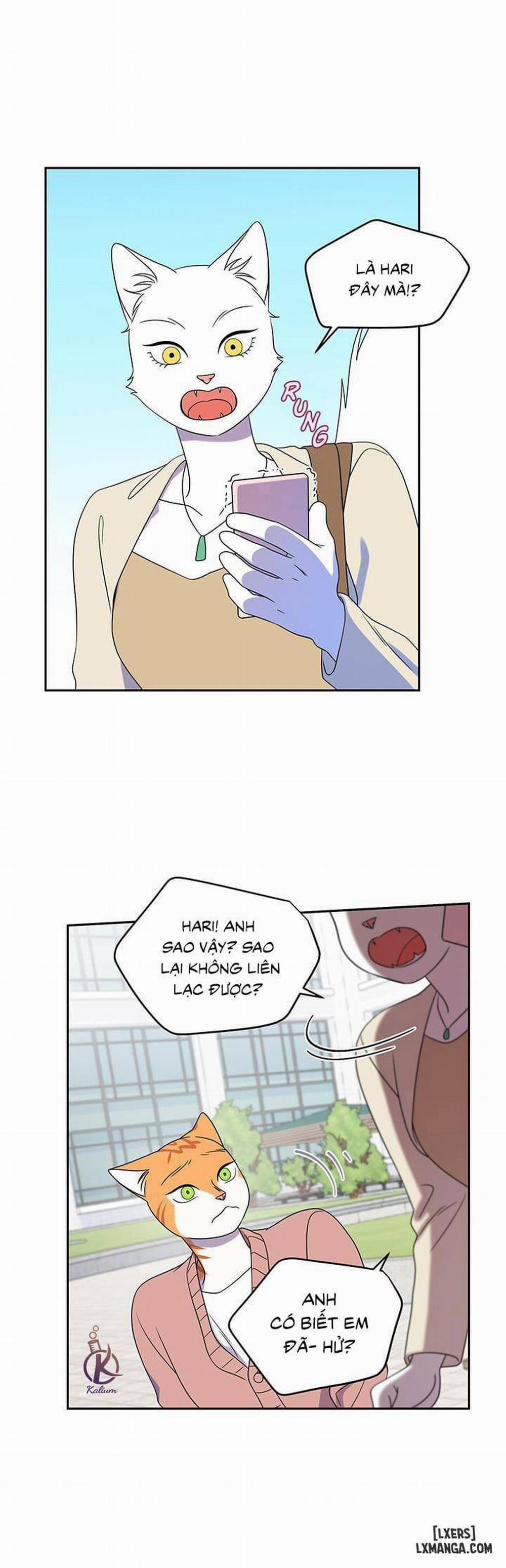 Dự án xanh 20 trang 16