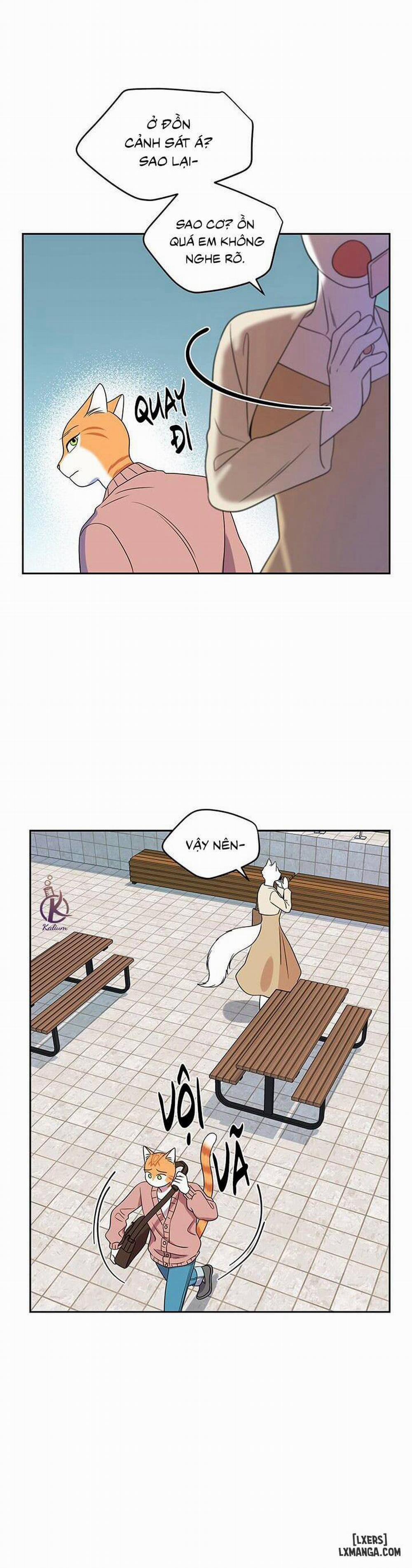 Dự án xanh 20 trang 17