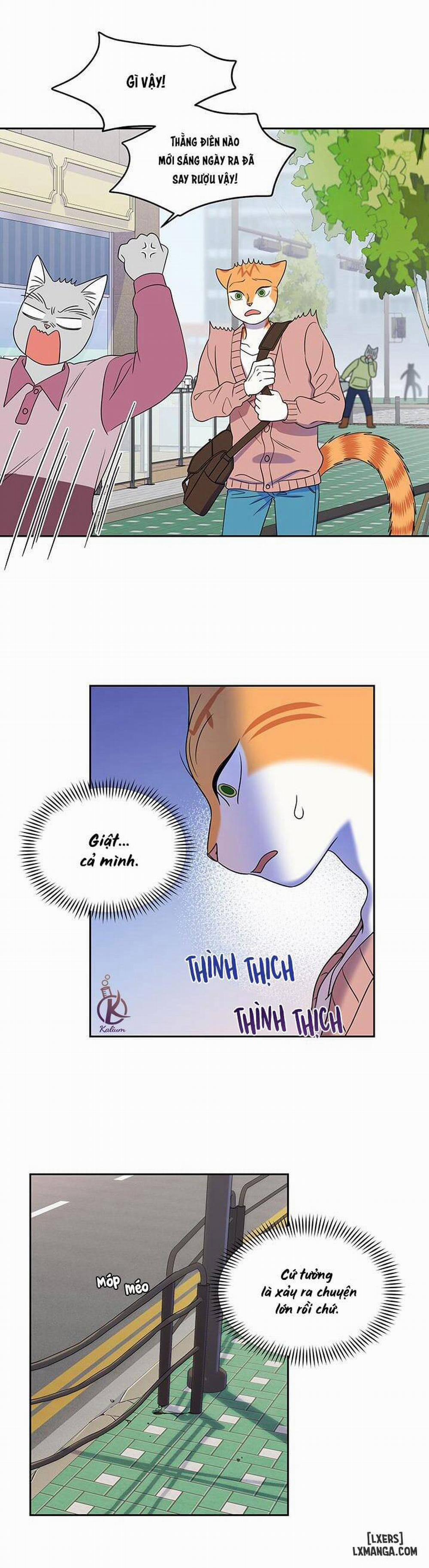 Dự án xanh 20 trang 21