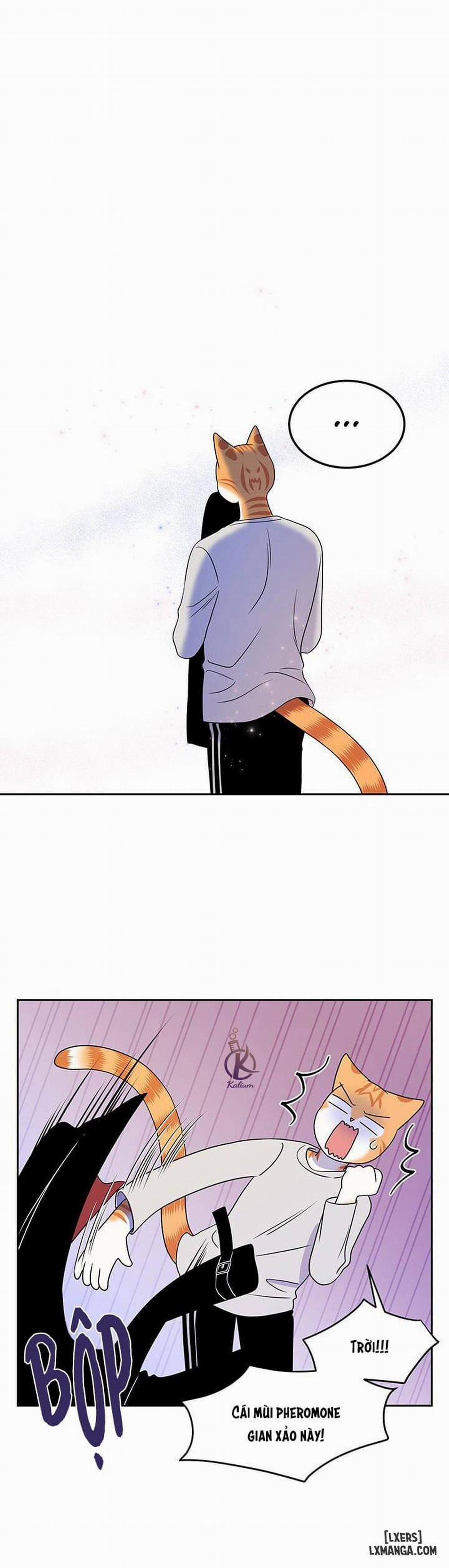 Dự án xanh 20 trang 27