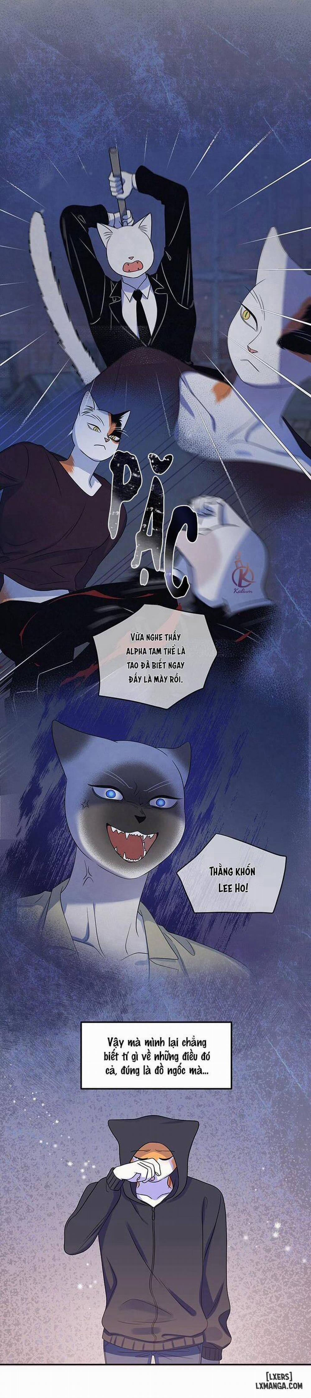 Dự án xanh 20 trang 6