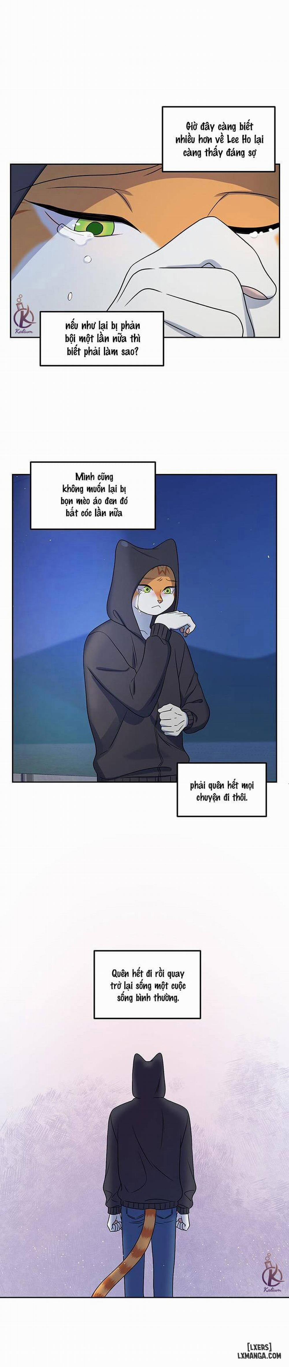 Dự án xanh 20 trang 7