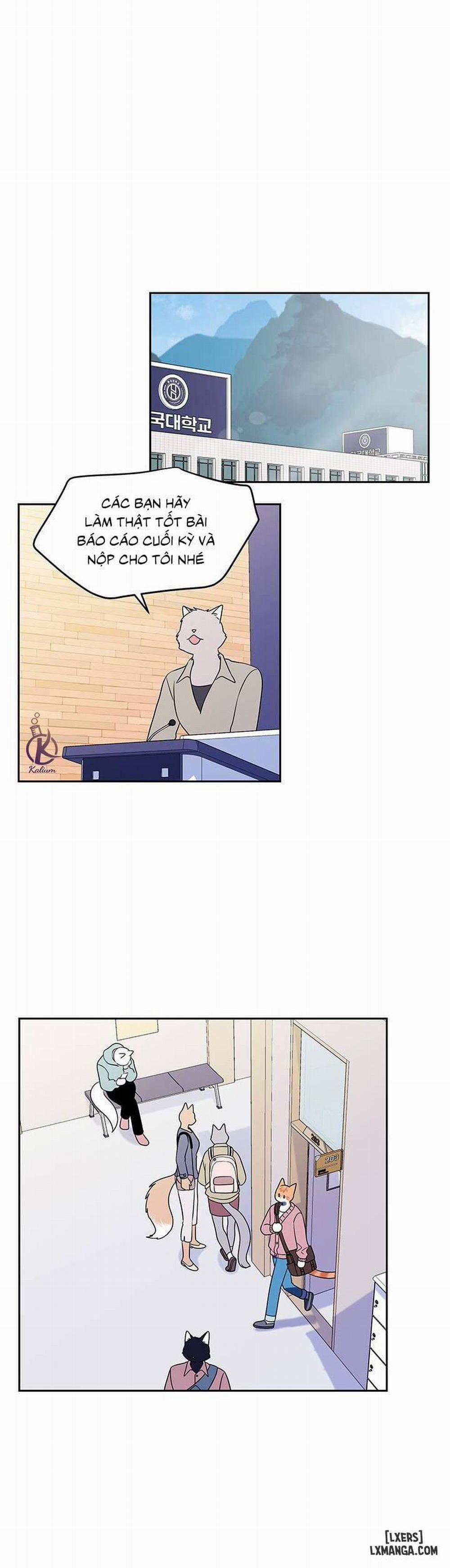 Dự án xanh 20 trang 8