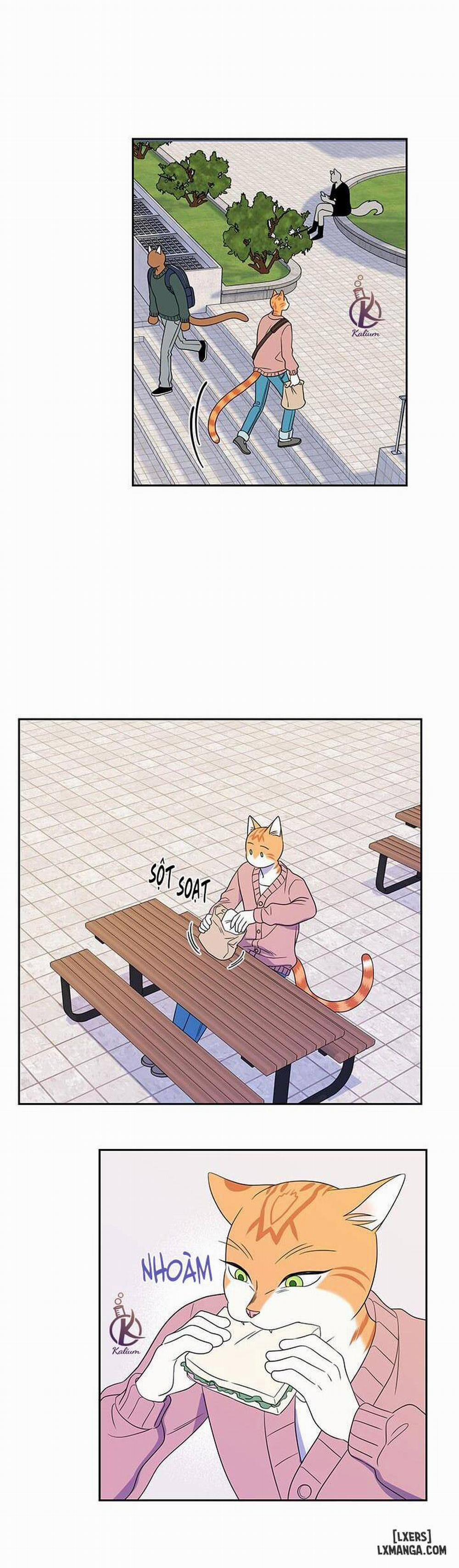 Dự án xanh 20 trang 9