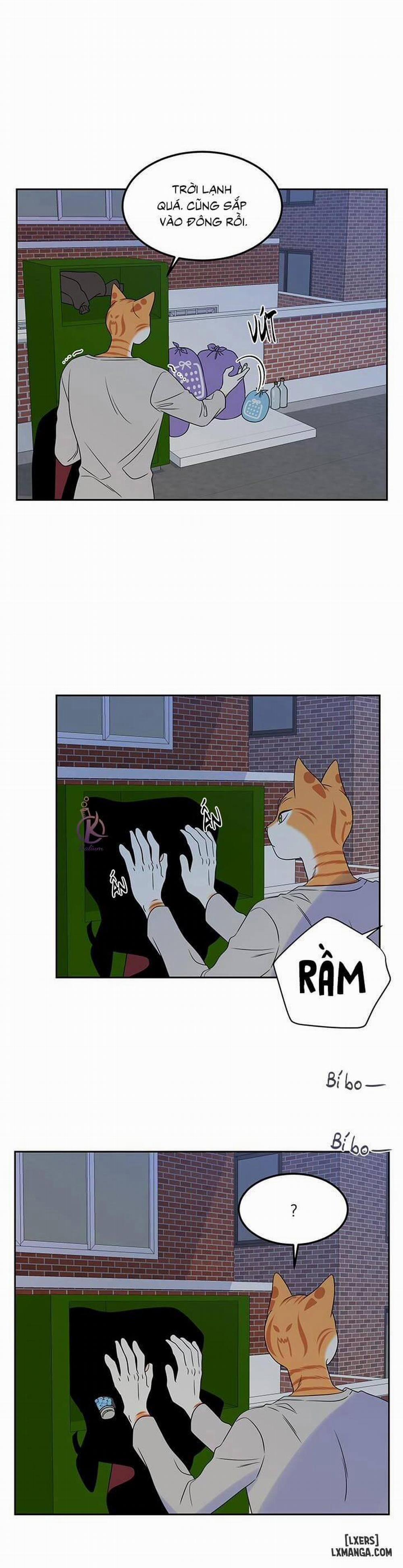 Dự án xanh 21 trang 1