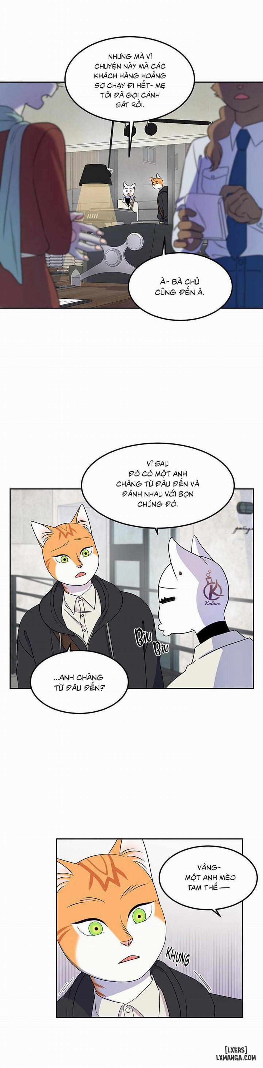 Dự án xanh 21 trang 10