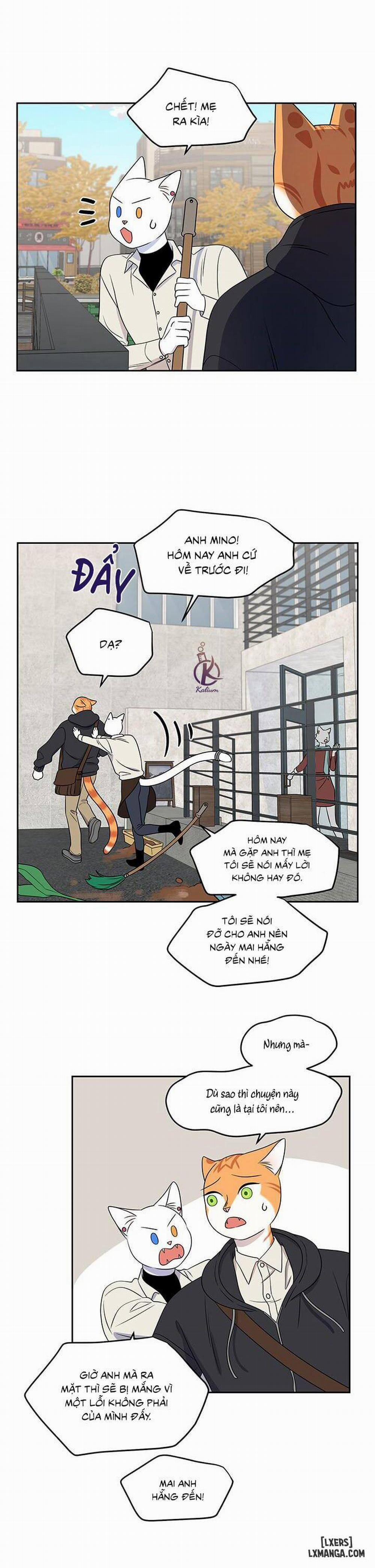 Dự án xanh 21 trang 11