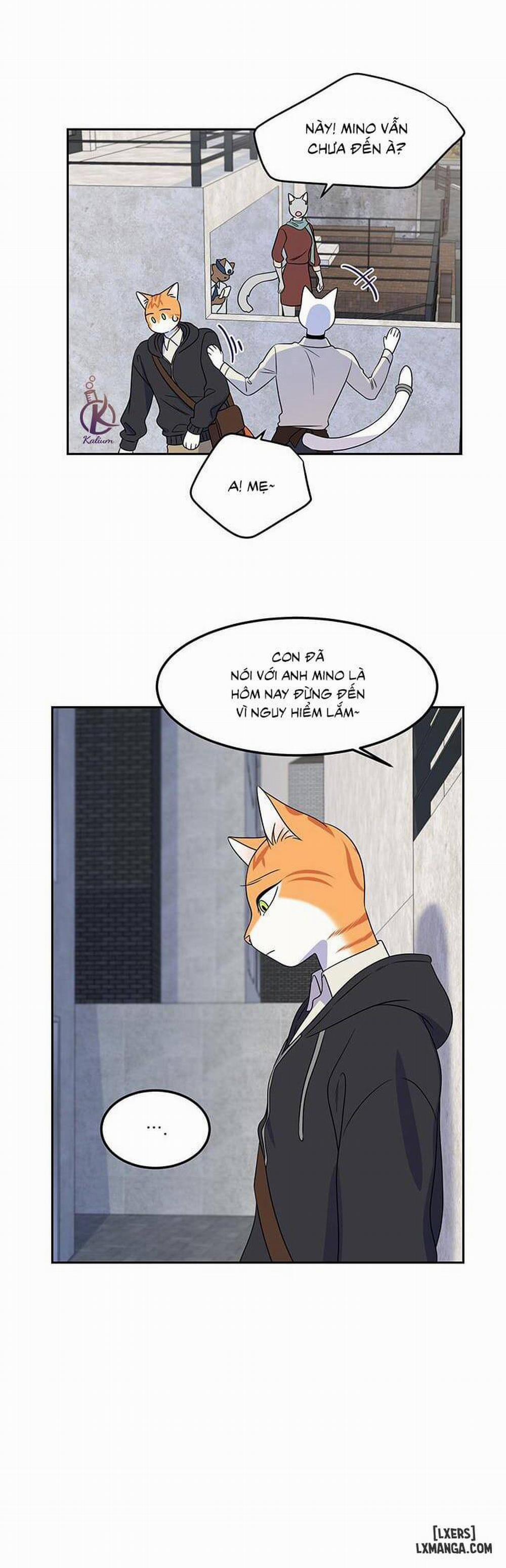 Dự án xanh 21 trang 12