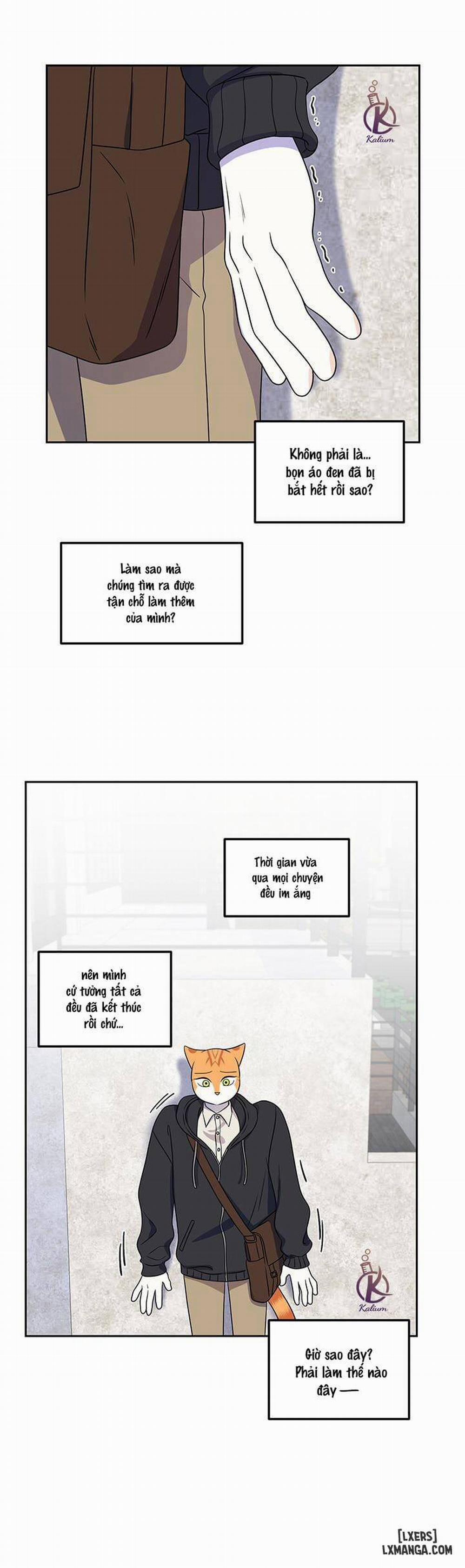 Dự án xanh 21 trang 13