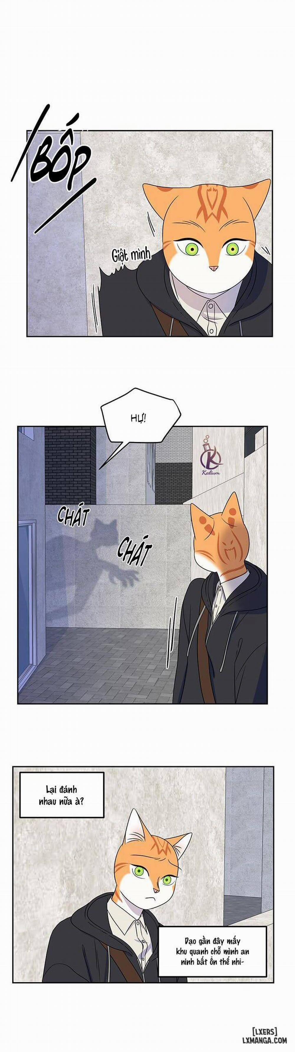 Dự án xanh 21 trang 14