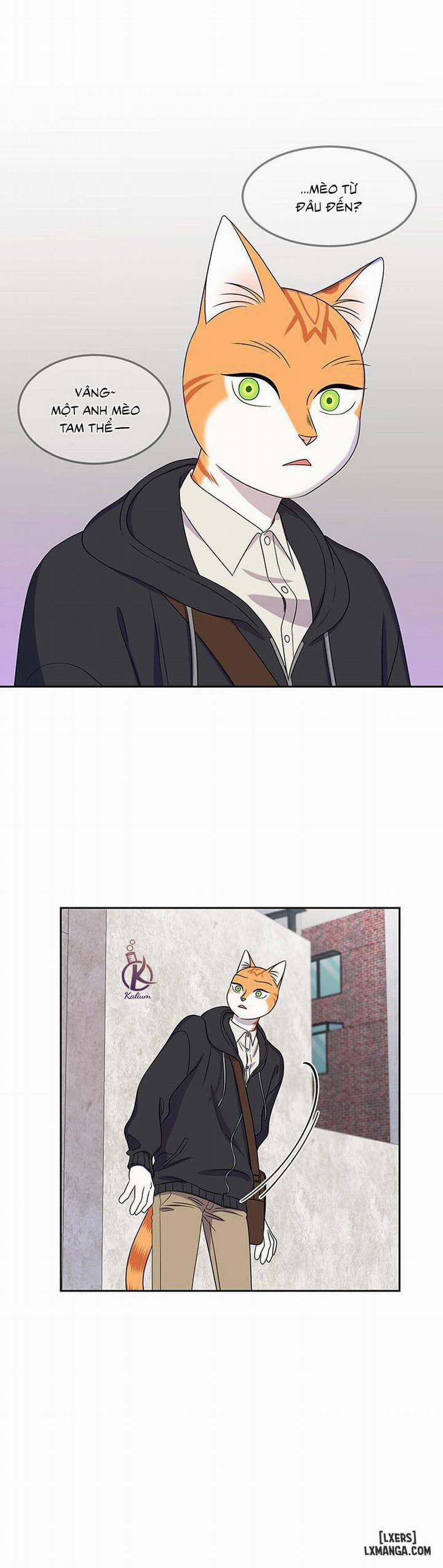 Dự án xanh 21 trang 15