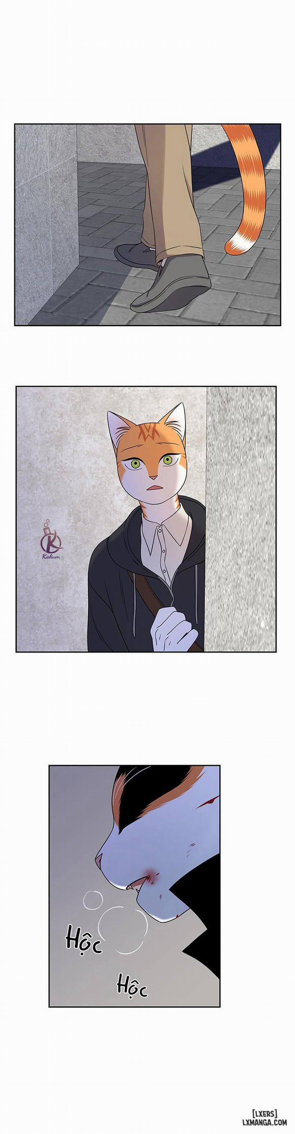 Dự án xanh 21 trang 17