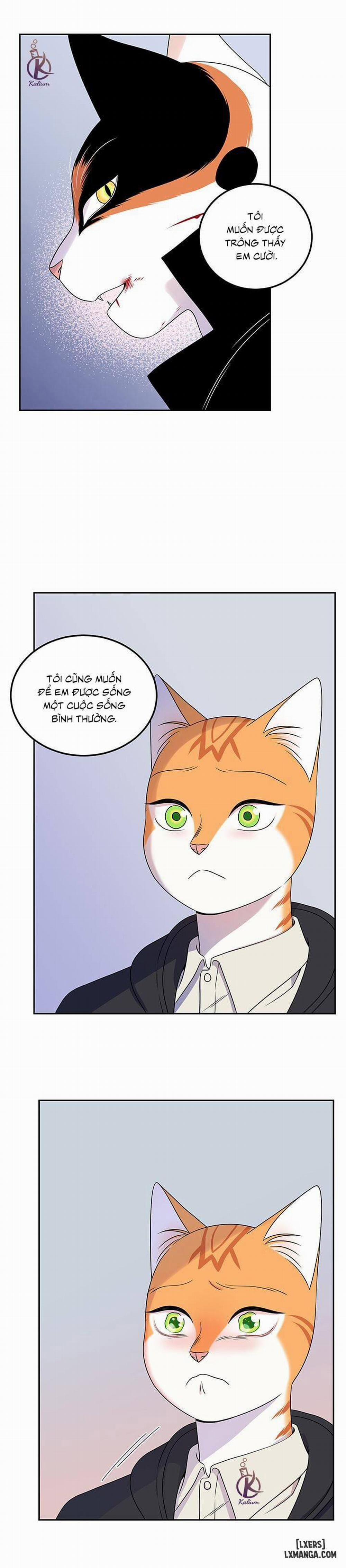 Dự án xanh 21 trang 24