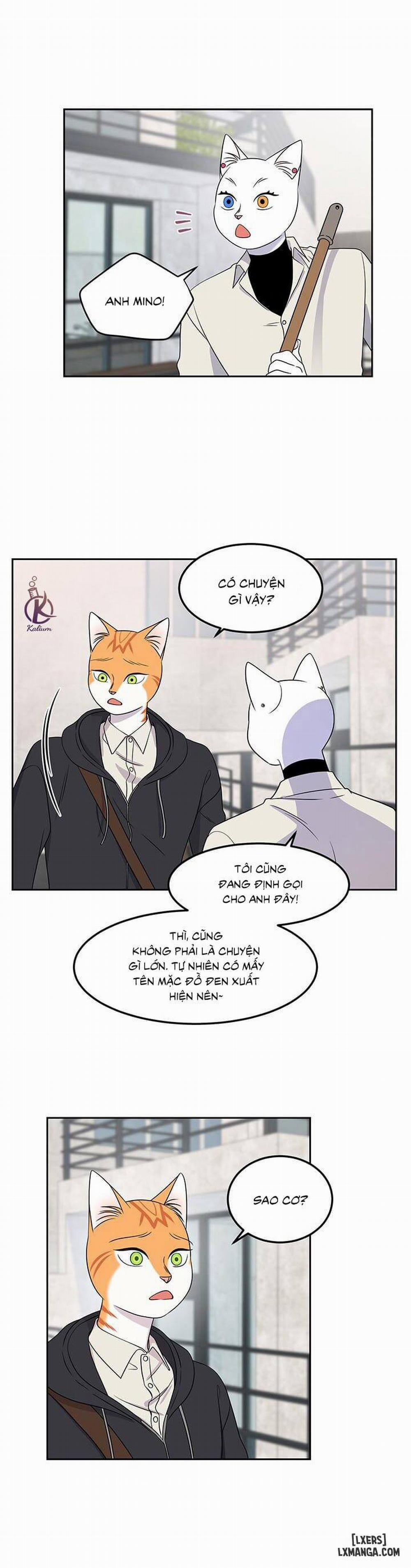 Dự án xanh 21 trang 8