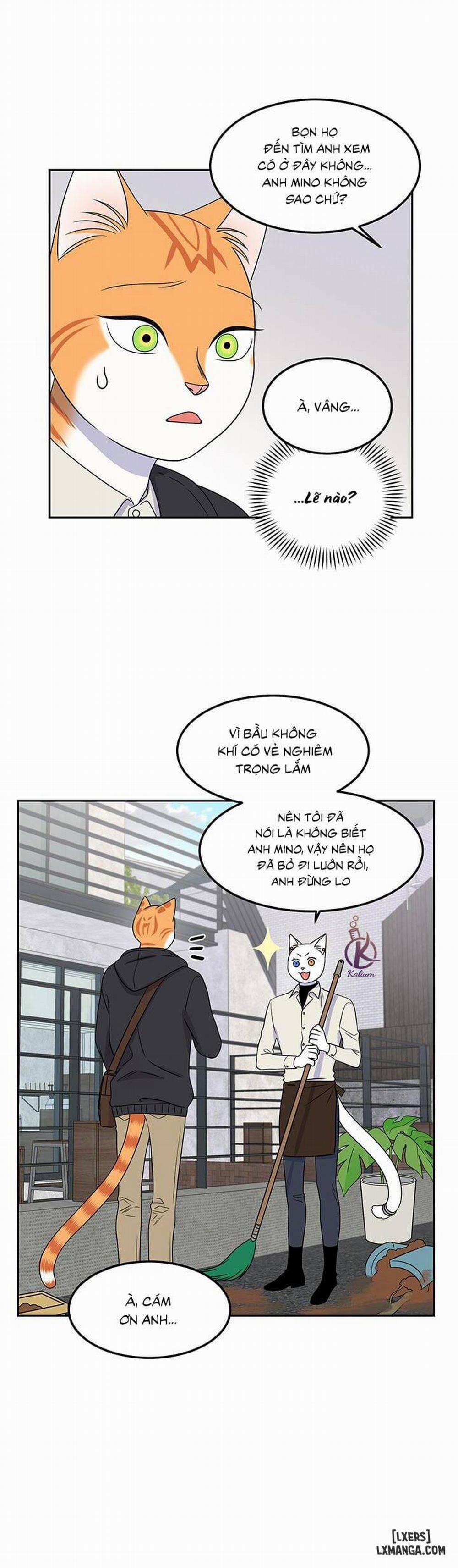 Dự án xanh 21 trang 9