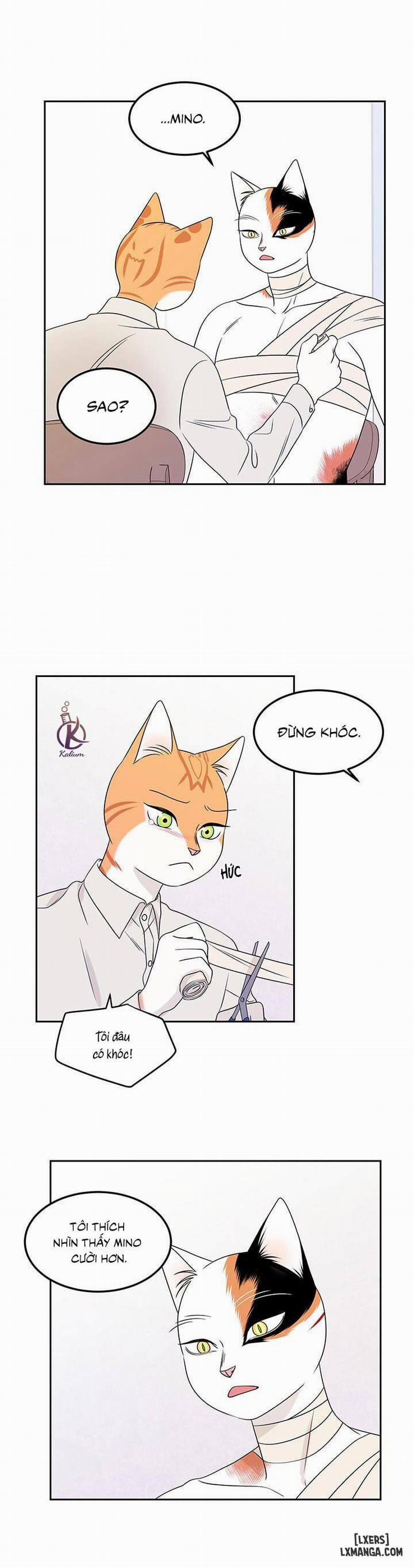 Dự án xanh 22 trang 10