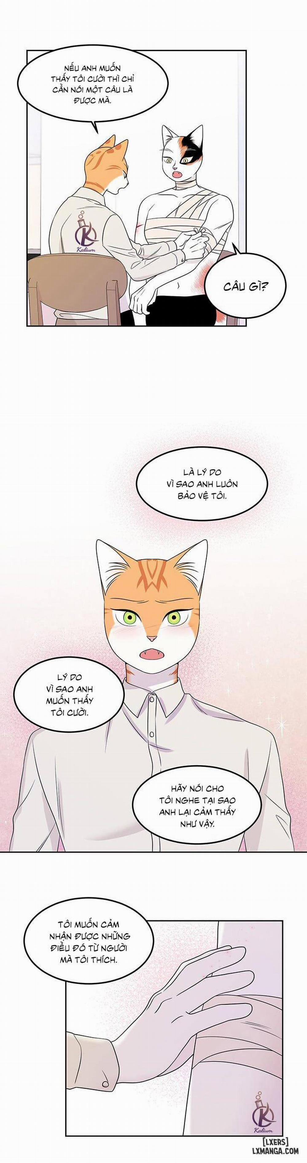 Dự án xanh 22 trang 11