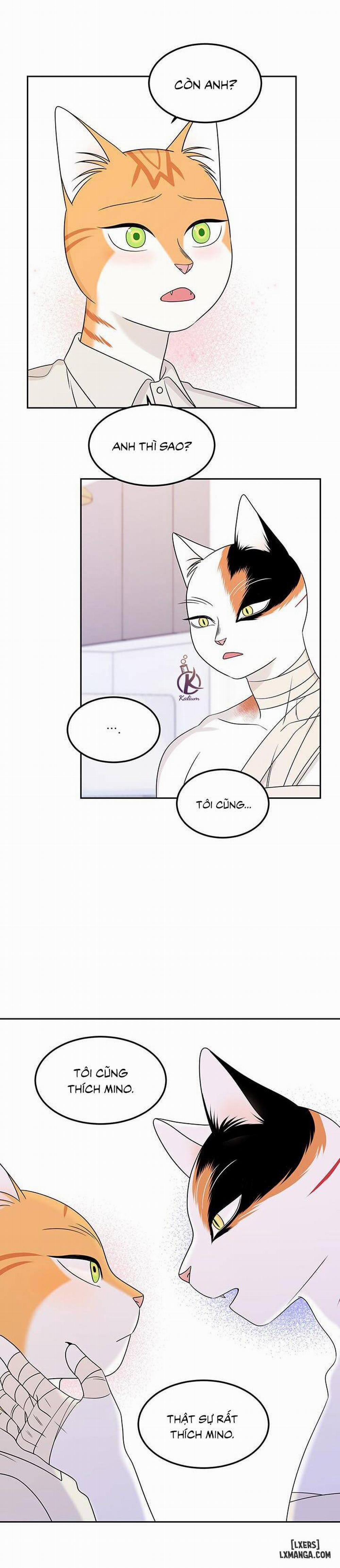 Dự án xanh 22 trang 12