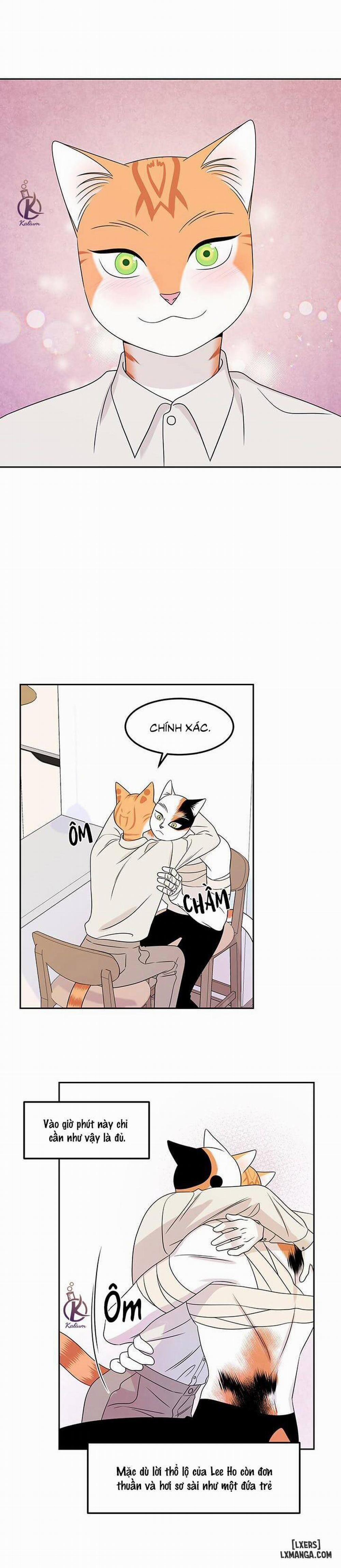 Dự án xanh 22 trang 13