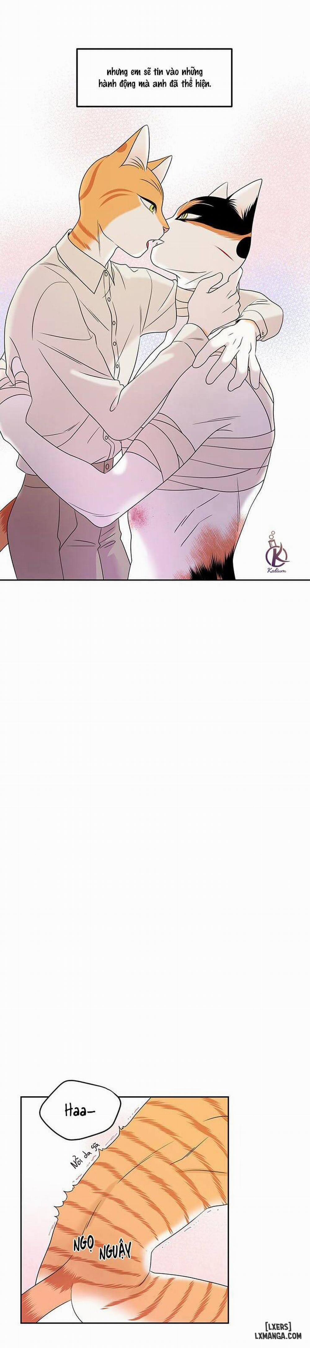 Dự án xanh 22 trang 14