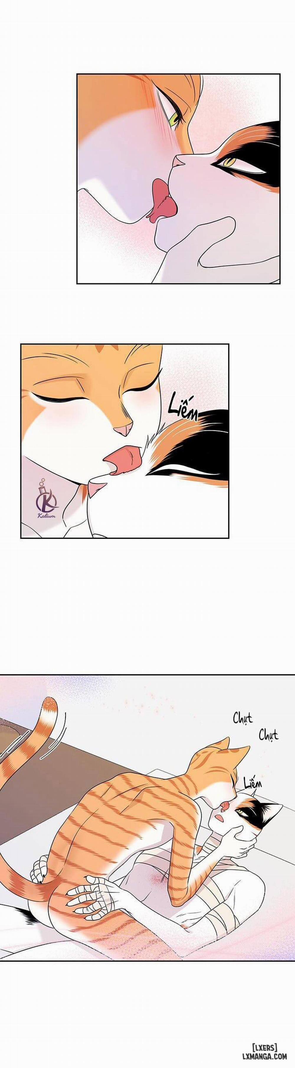 Dự án xanh 22 trang 15