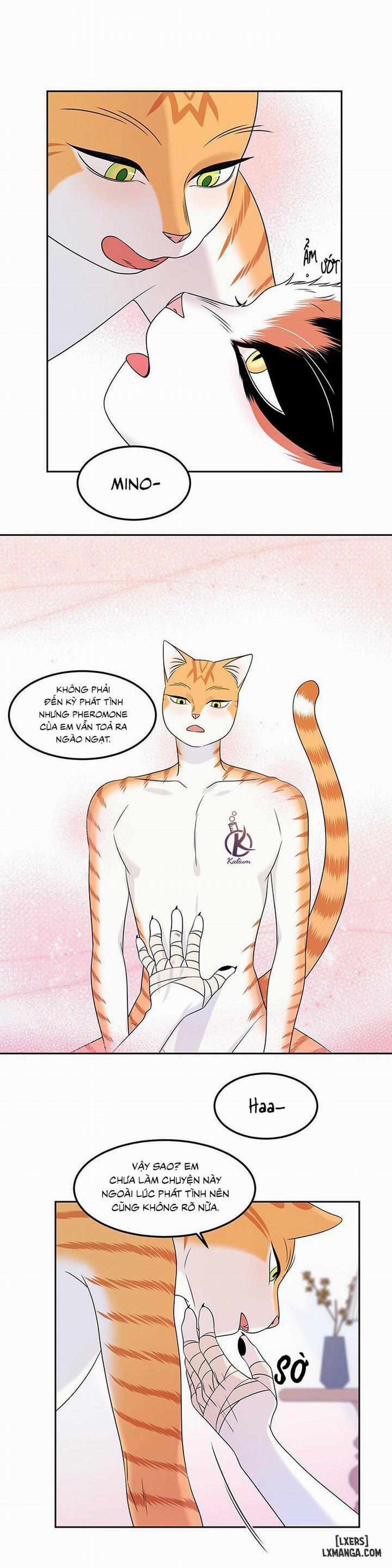 Dự án xanh 22 trang 16