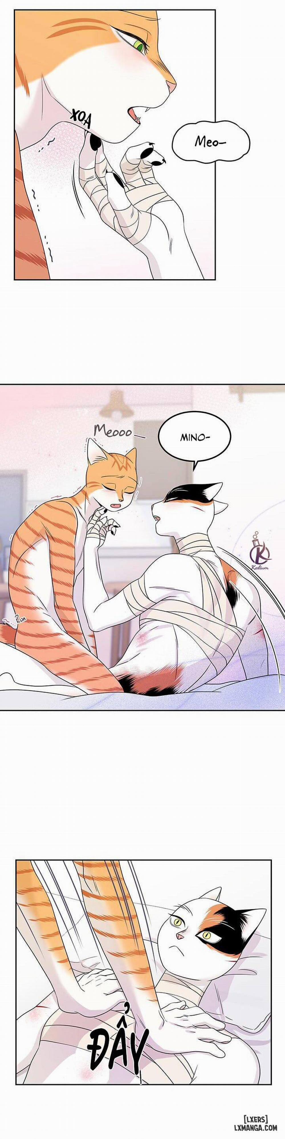 Dự án xanh 22 trang 17