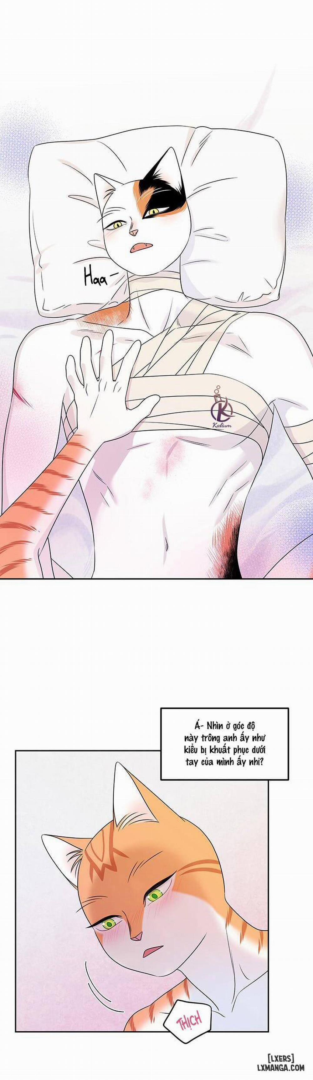 Dự án xanh 22 trang 19