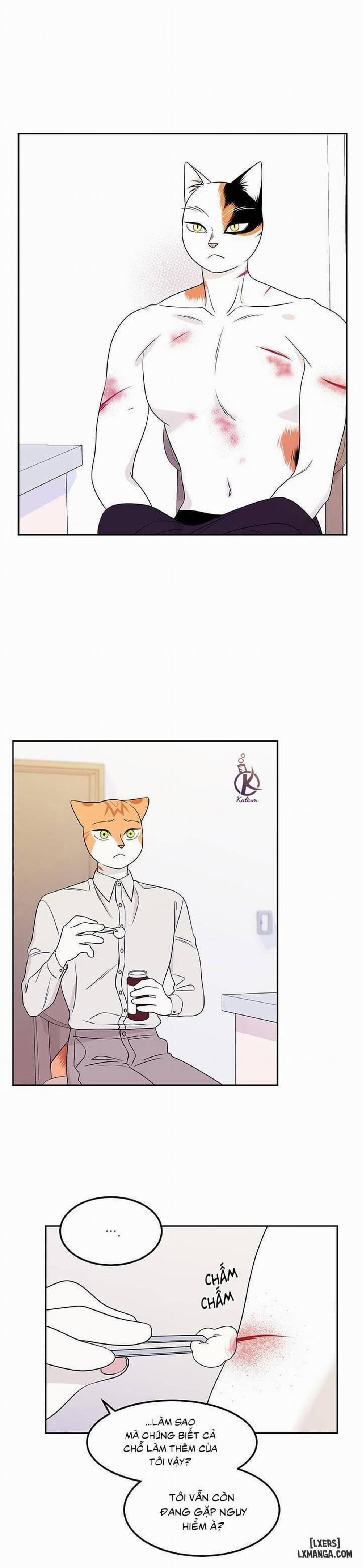 Dự án xanh 22 trang 2