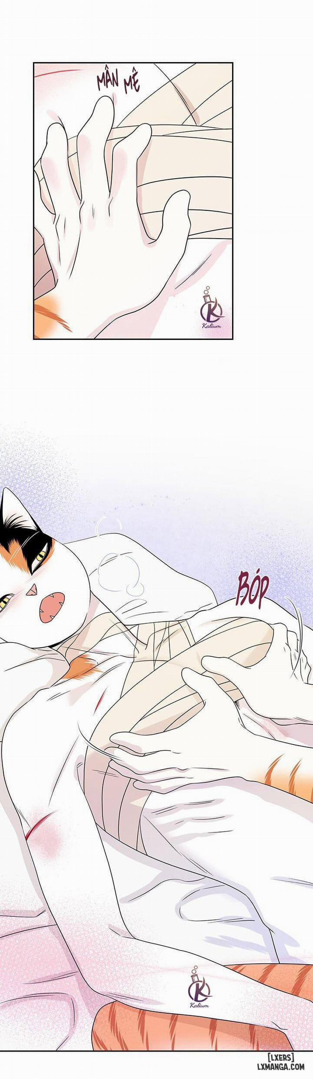 Dự án xanh 22 trang 20