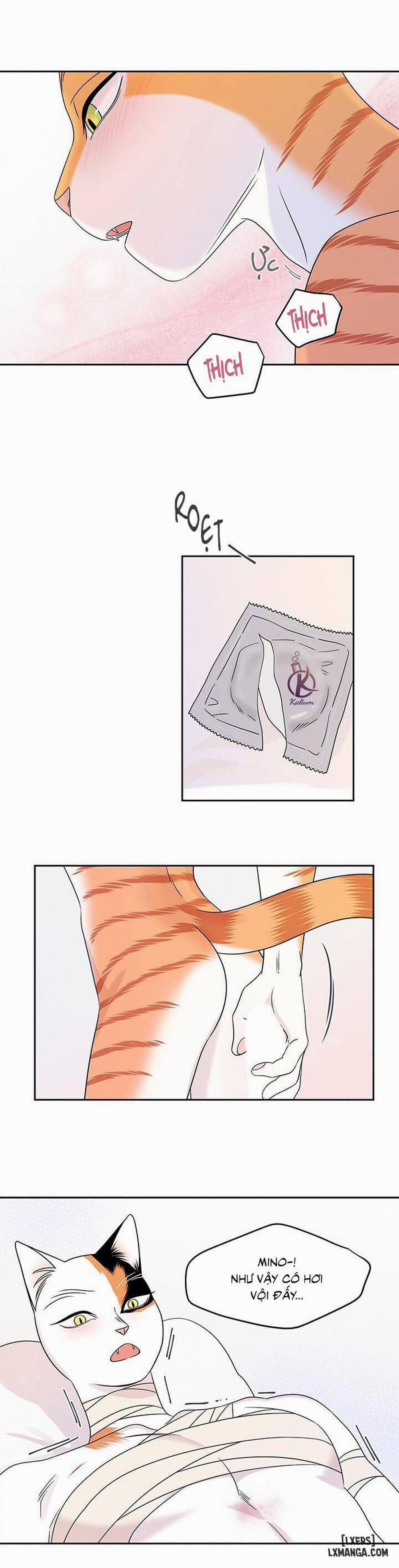 Dự án xanh 22 trang 21