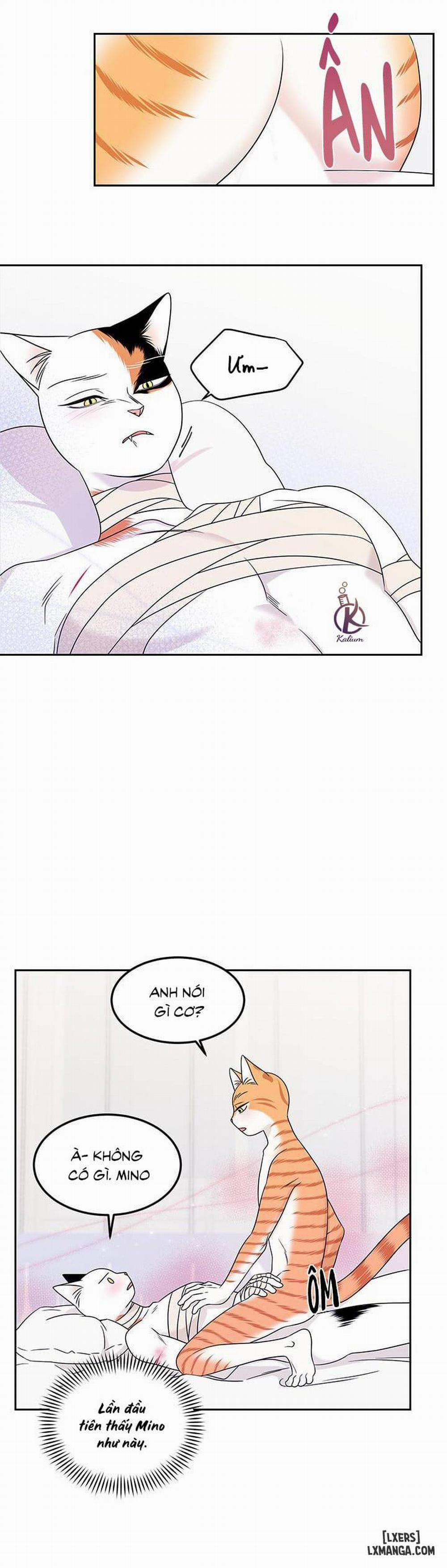 Dự án xanh 22 trang 22