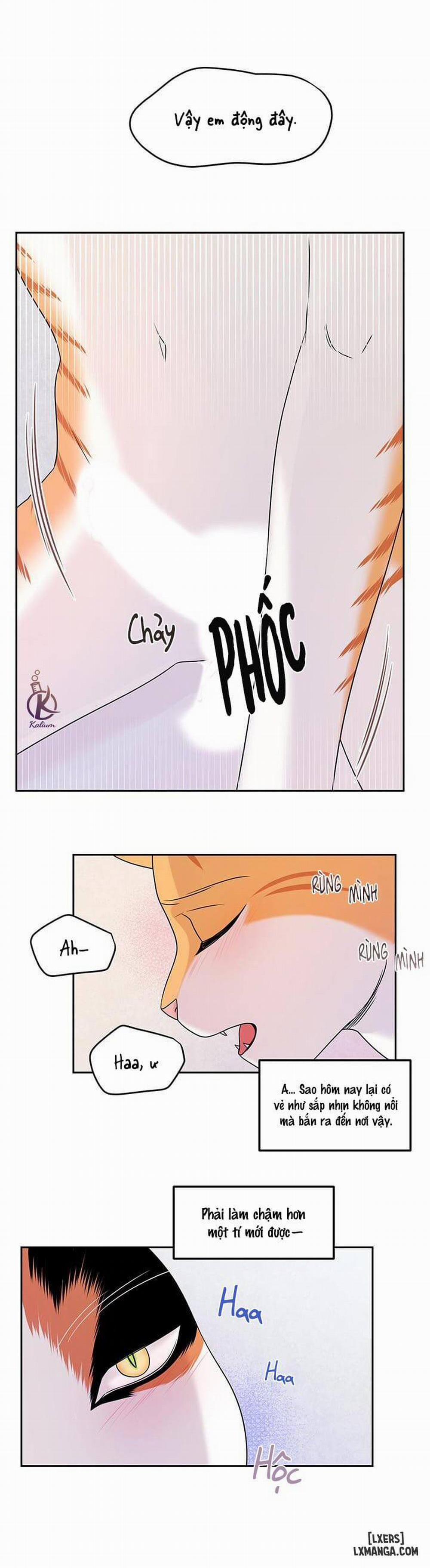 Dự án xanh 22 trang 23