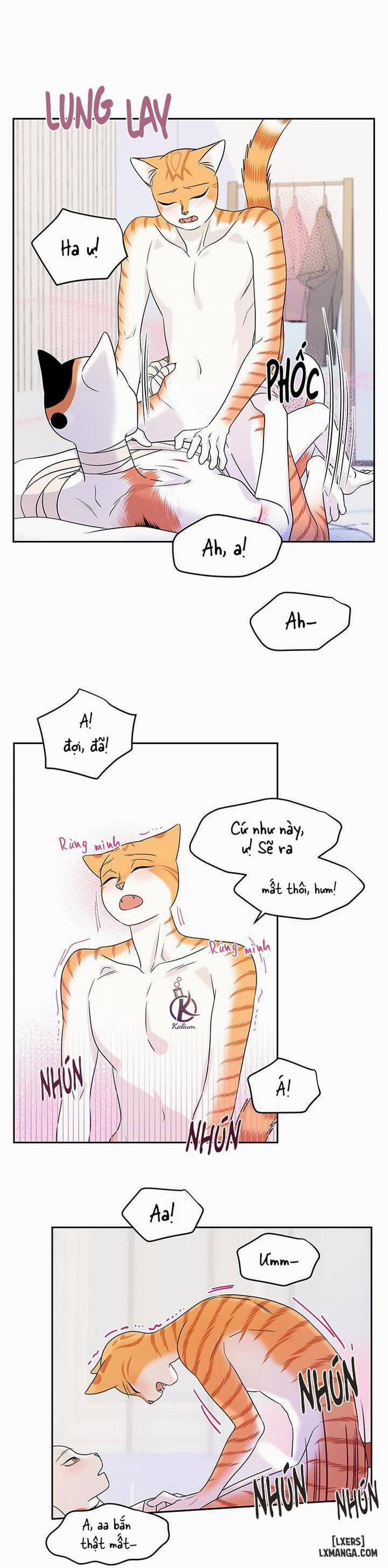 Dự án xanh 22 trang 24