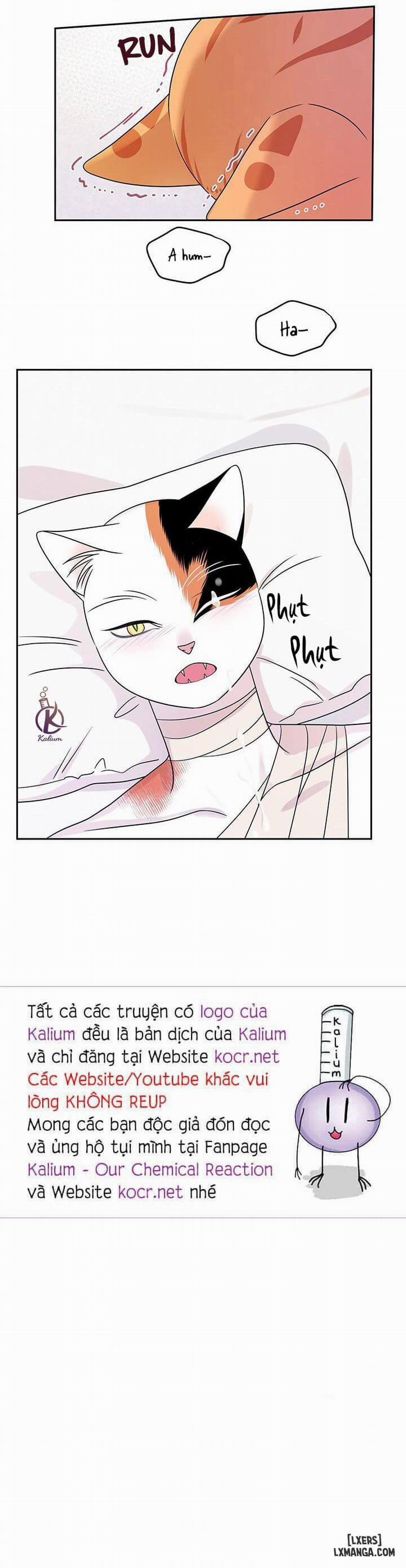 Dự án xanh 22 trang 25