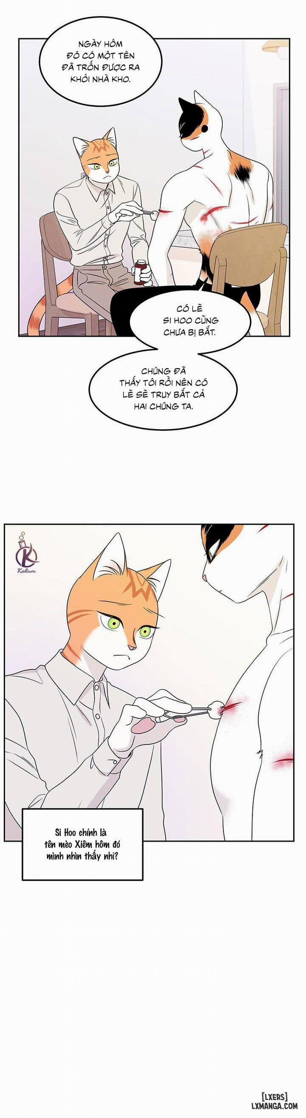 Dự án xanh 22 trang 3