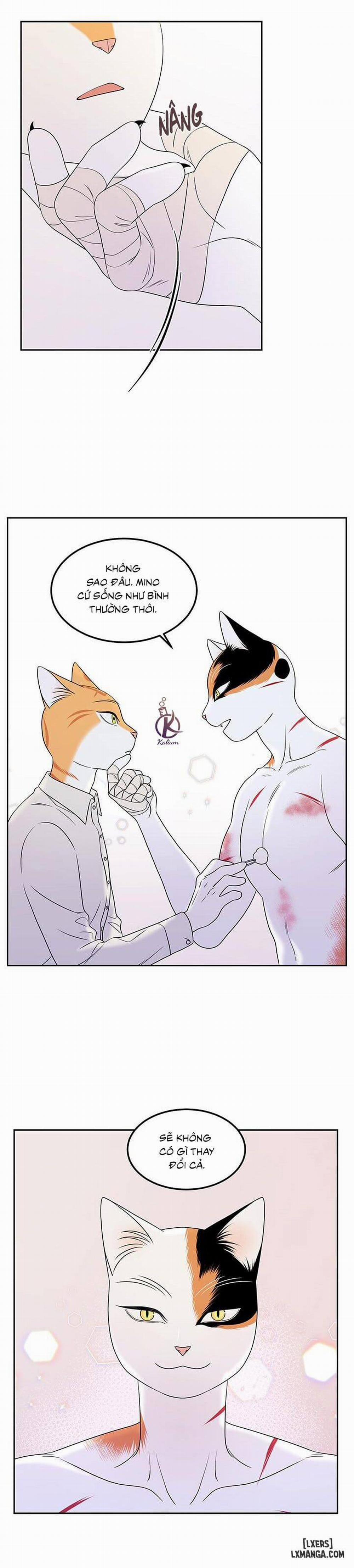 Dự án xanh 22 trang 4