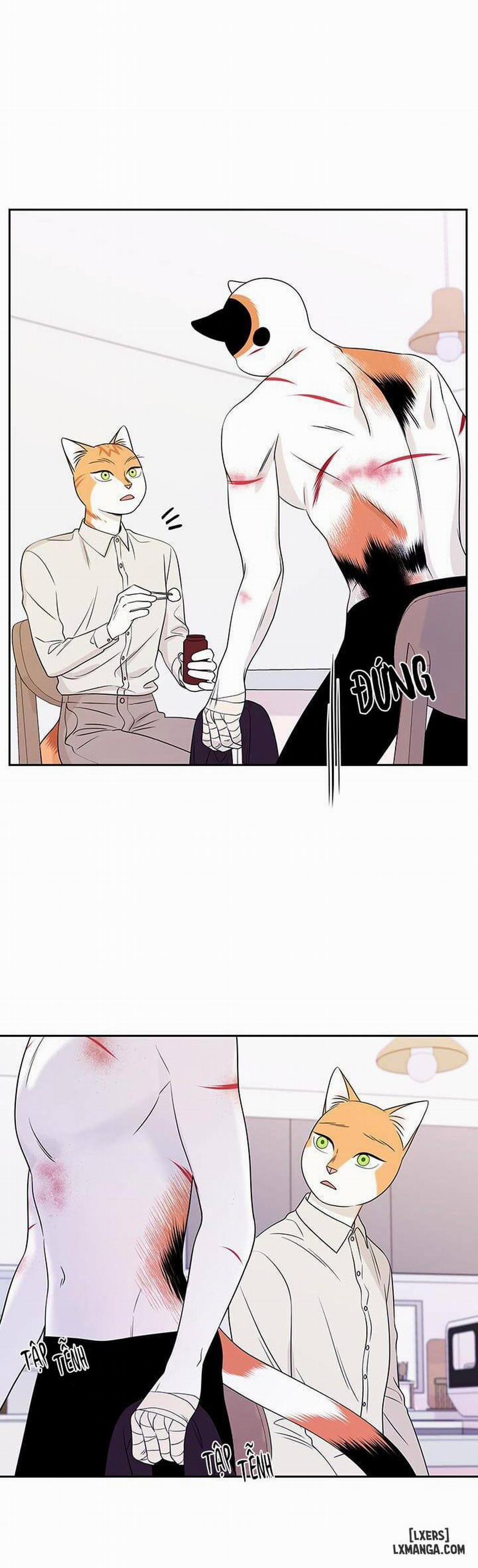 Dự án xanh 22 trang 5