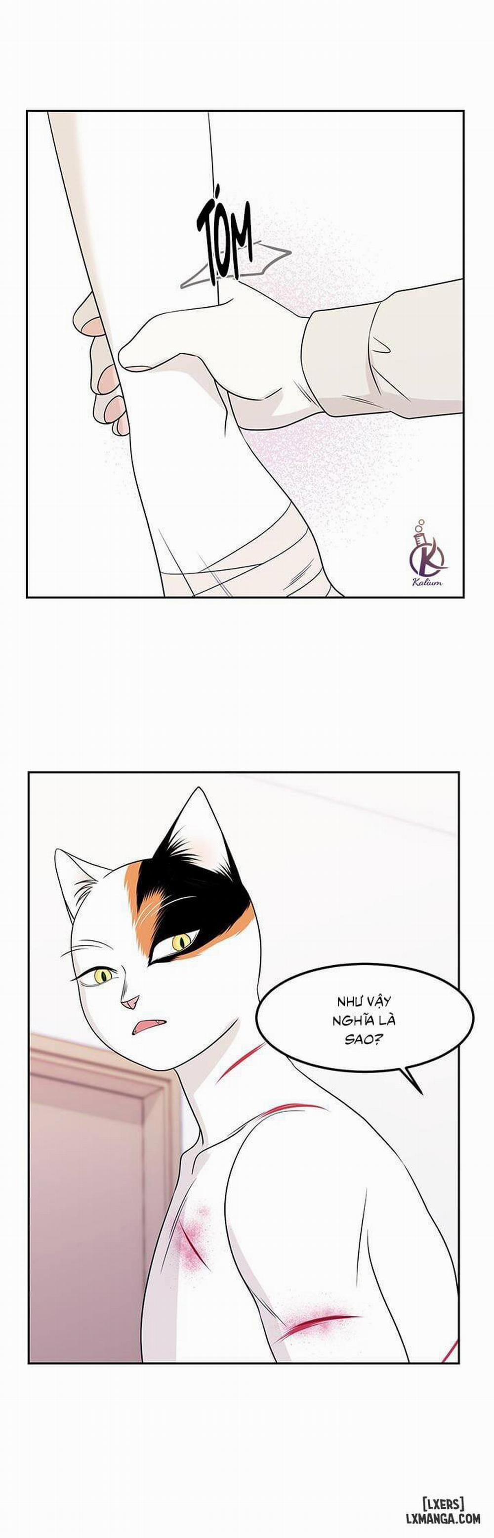 Dự án xanh 22 trang 6