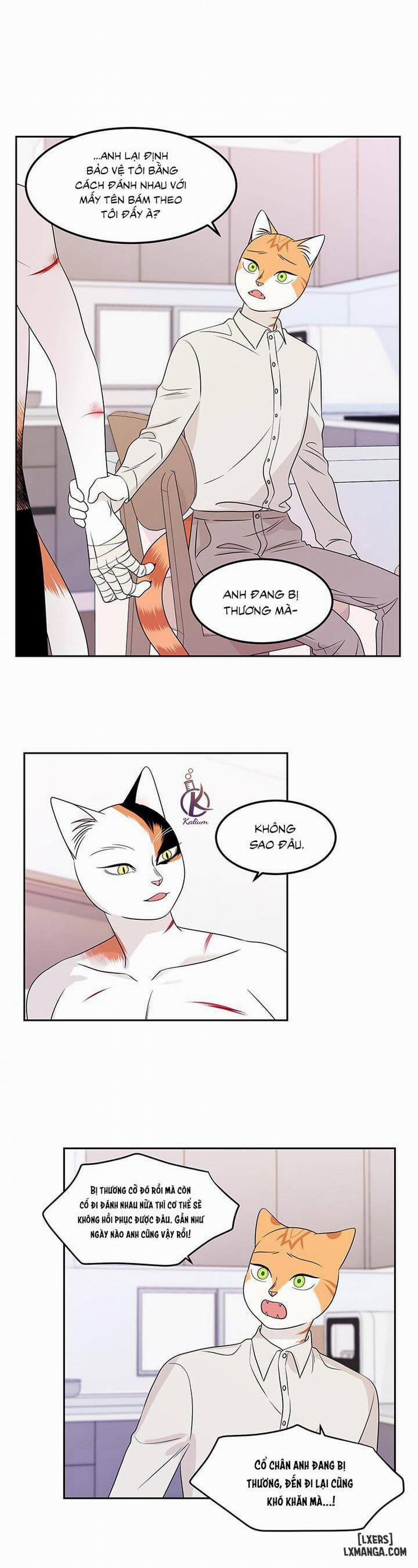 Dự án xanh 22 trang 7