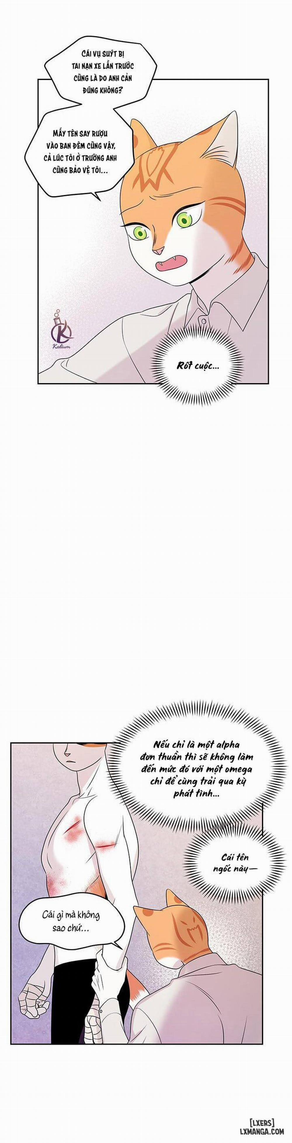 Dự án xanh 22 trang 8