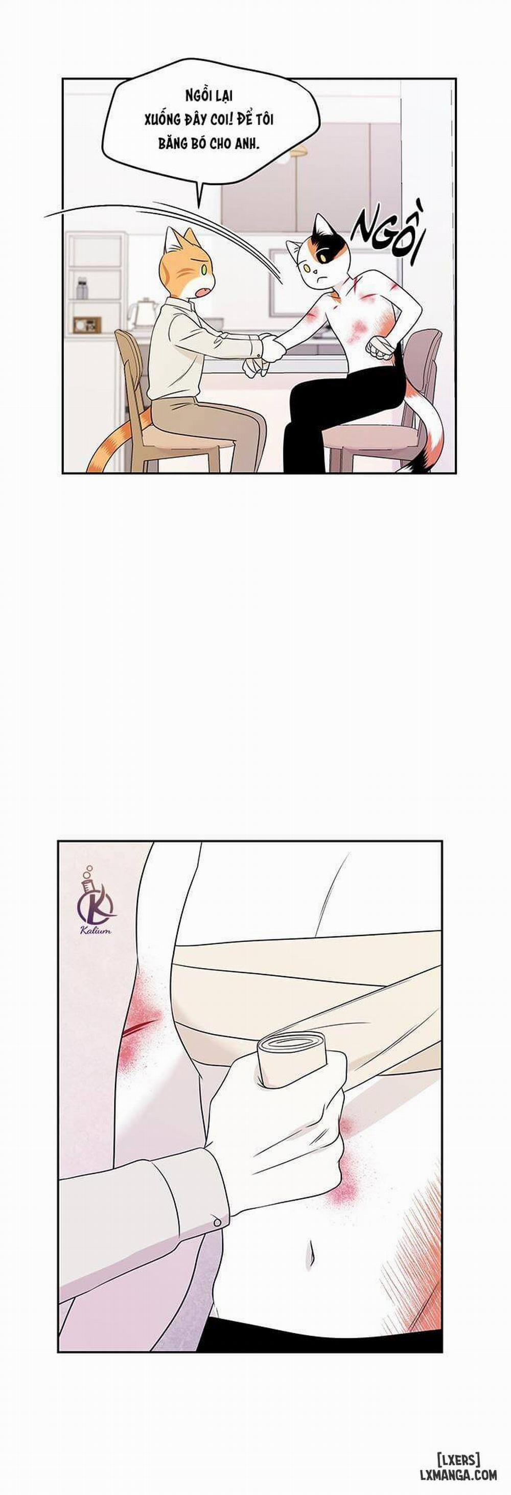 Dự án xanh 22 trang 9