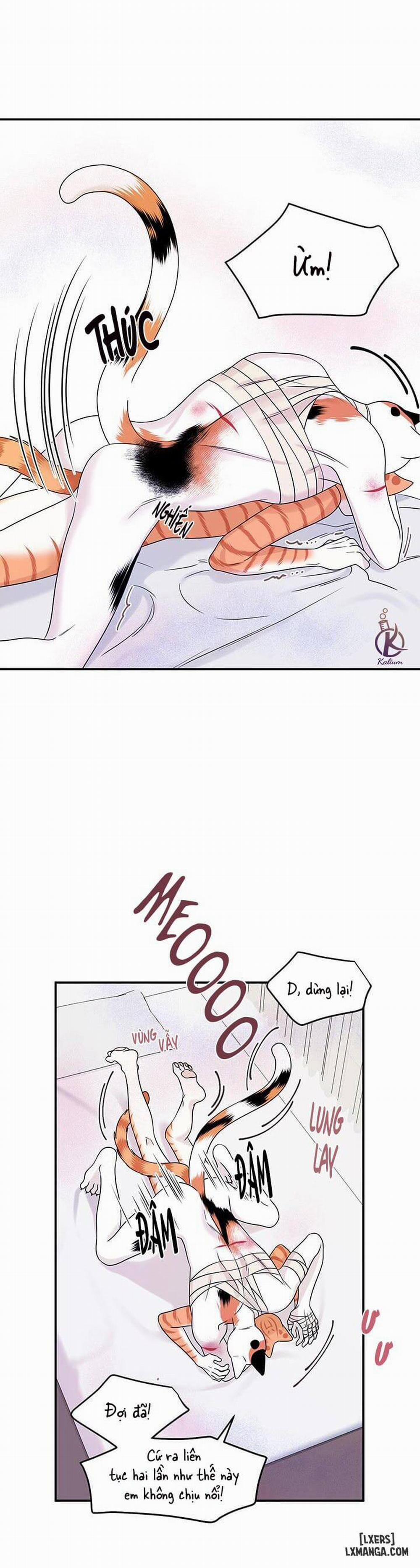 Dự án xanh 23 trang 11