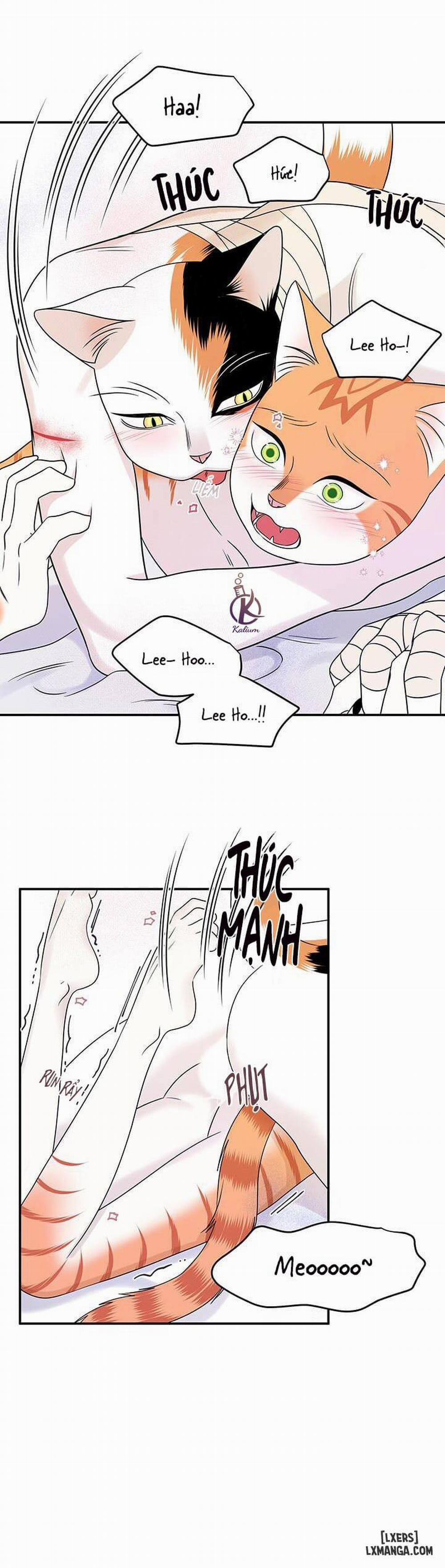 Dự án xanh 23 trang 12