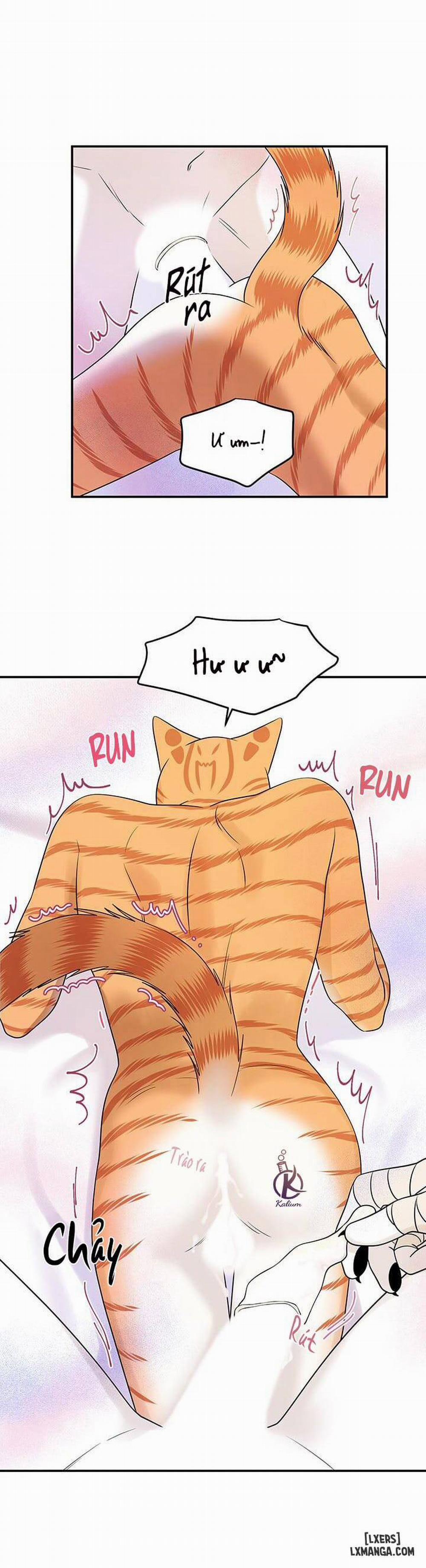 Dự án xanh 23 trang 14