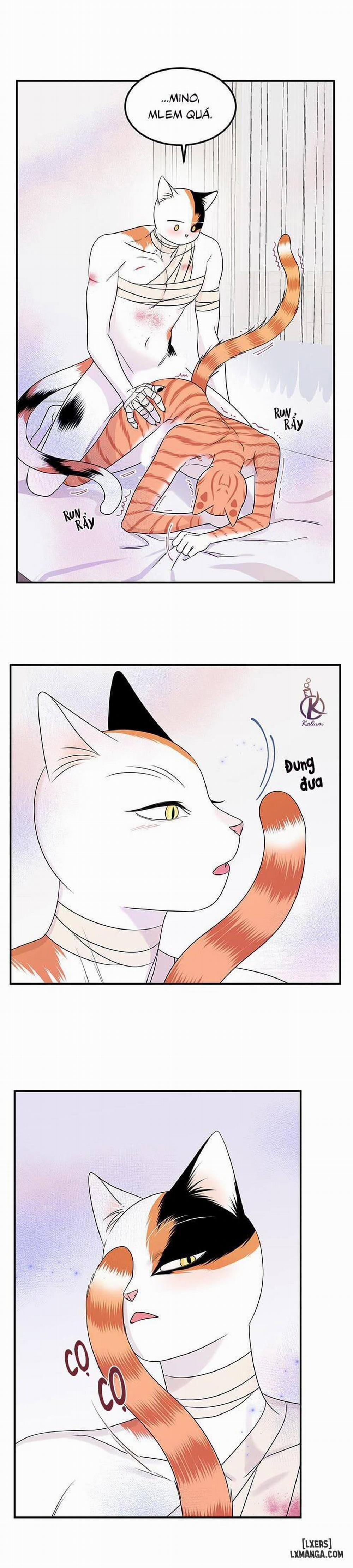 Dự án xanh 23 trang 15