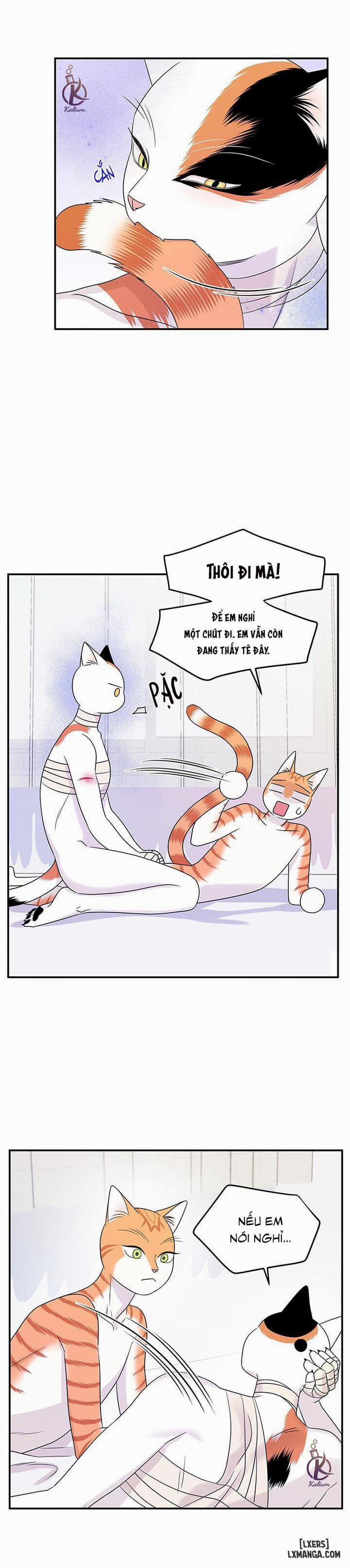 Dự án xanh 23 trang 16