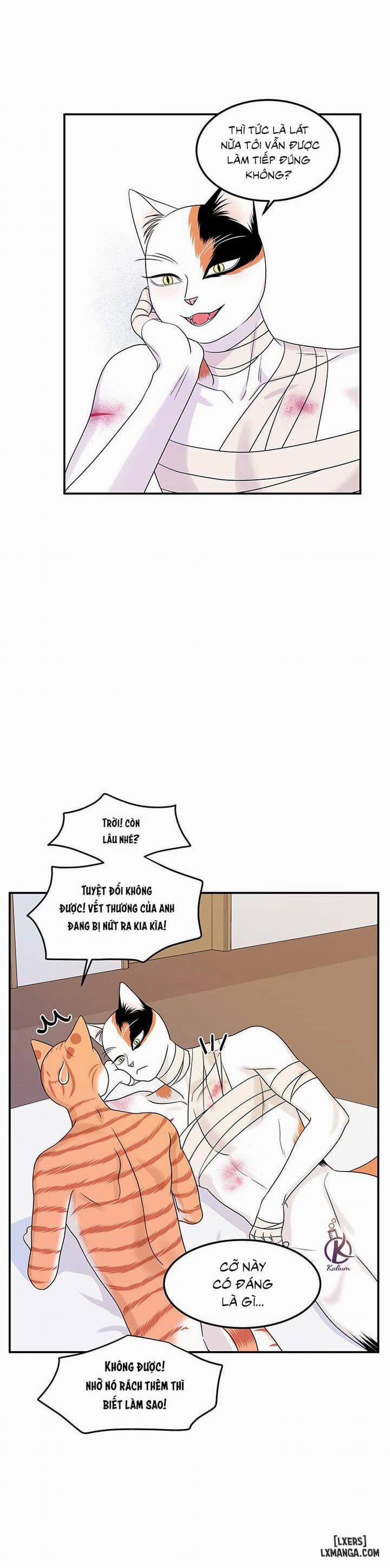 Dự án xanh 23 trang 17